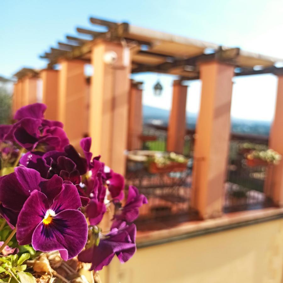 Domus Volumnia Country House Perugia Ngoại thất bức ảnh
